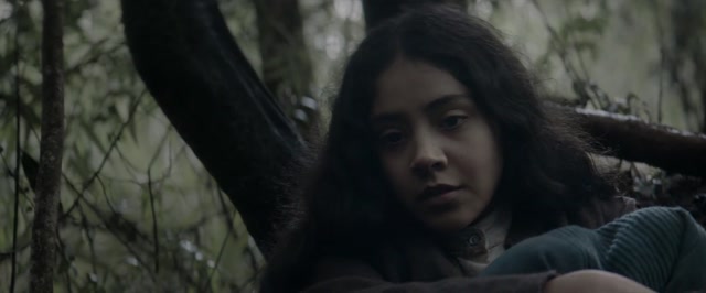 Brujeria (2025) HD 1080p Latino