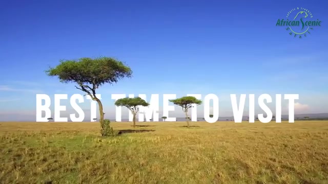 Kilimanjaro Climbing Seasons Explained – Avoid the Rainy Months