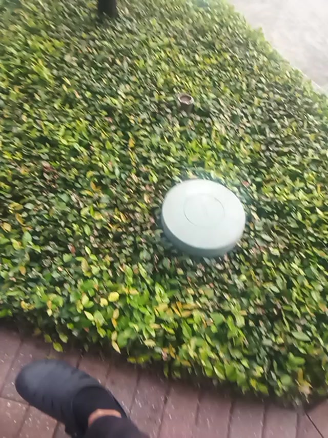 WT IS T MULTIVERSE TRYN TO SAY TO ME??? LIGHTS DRIVE MY SOUL!!!