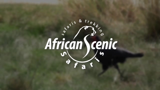 Top 10 Things to do in Tanzania