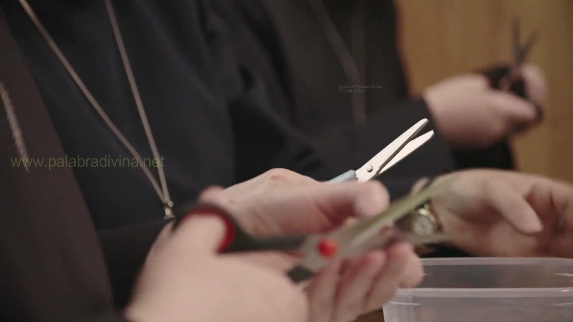 Película del Rosario