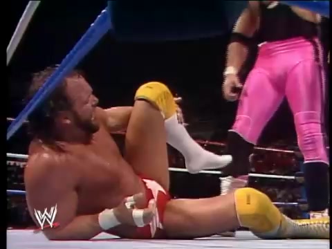 WWE Bret Hart vs Randy Savage SNME