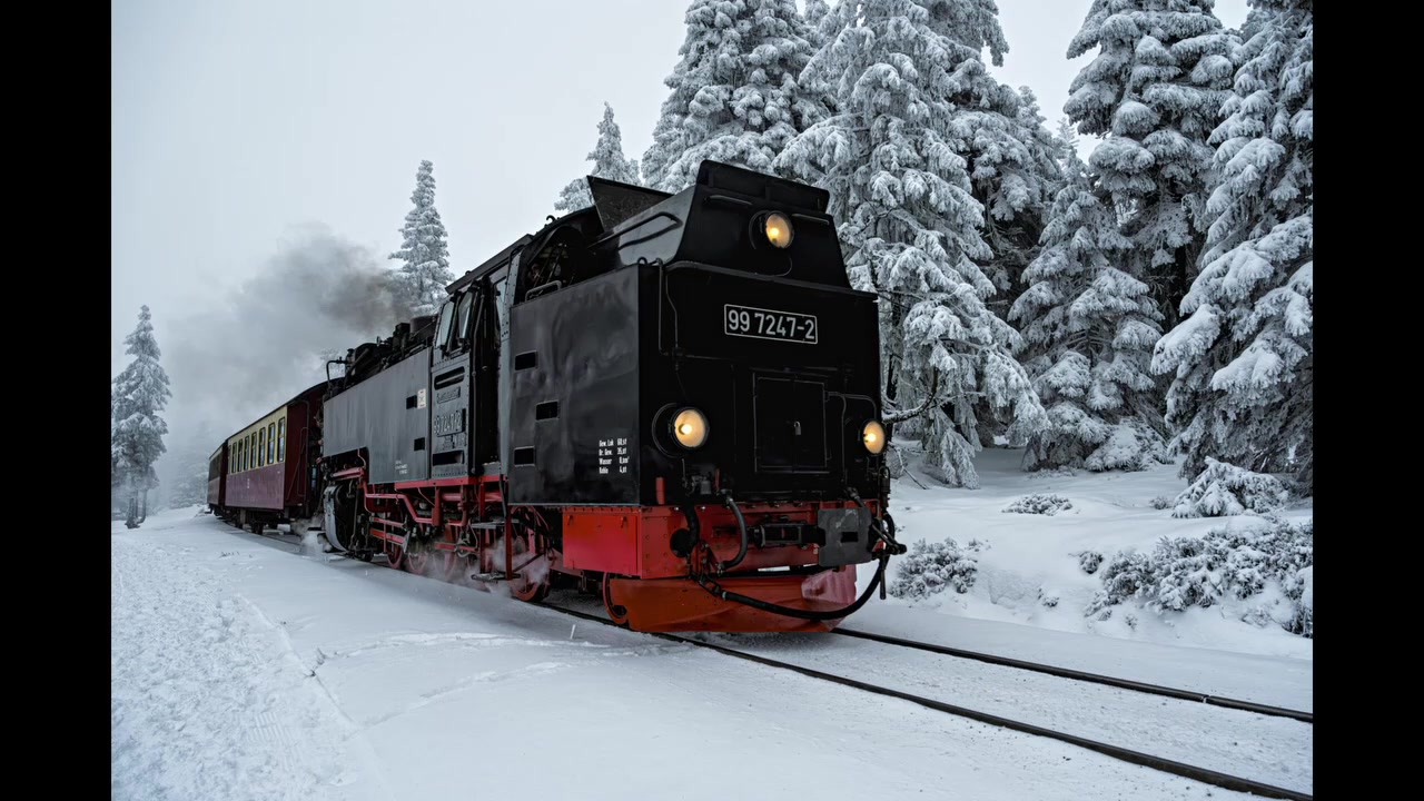 Harz 31.01.2026