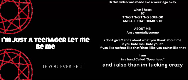 i'm stupid here is why (i sound gay for some reason)