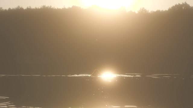 ce_chemin_est_il_encore_long__VIRGILE_LHOMME