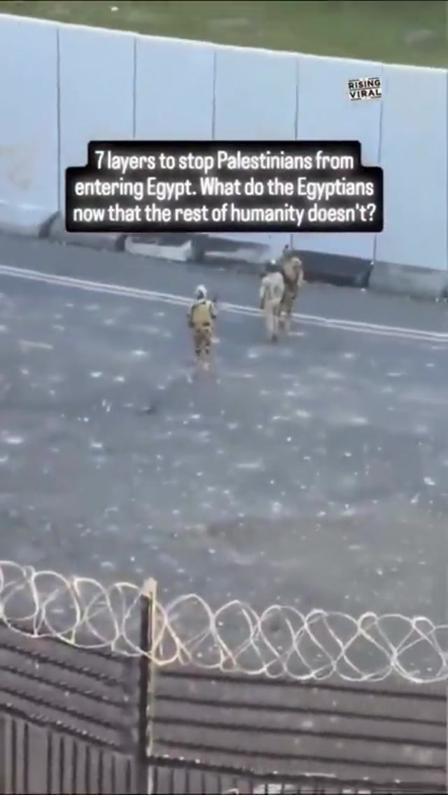 What the Egyptians really think of Palestinians, seven layers of defence.