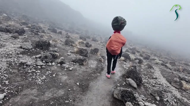 Climbing Mount Kilimanjaro – Routes, Tips & Packages Guide