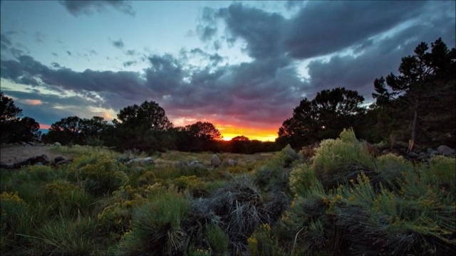 -ERIC CARMEN - NEVER GONNA FALL IN LOVE AGAIN-