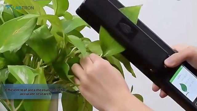 Labtron Leaf Area Meter LLAM-A10 | Accurate & Efficient Leaf Measurement for Agricultural Research