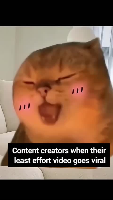 This cat keeps ringing on my head