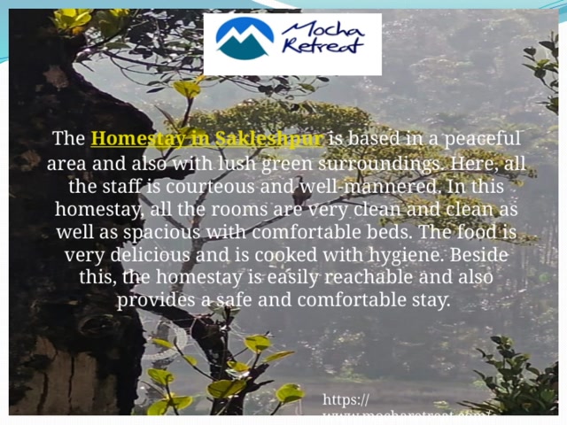 Homestay in Sakleshpur for family