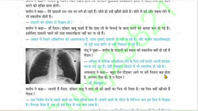हमारा पर्यावरण