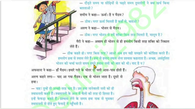 हमारा पर्यावरण शरीर