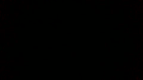 VID_20260219_185359ooooh#im a happy unicorn ooooho lalalal thump goes me thump goes you