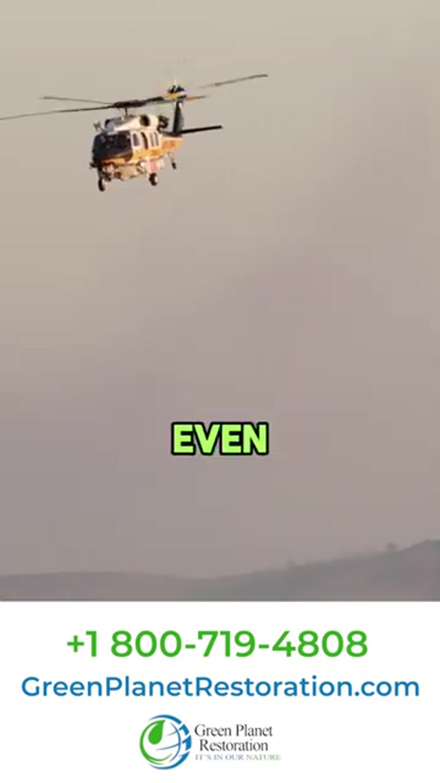 Water, Fire, or Mold Damage? See How Experts Restore Homes FAST! | Green Planet Restoration