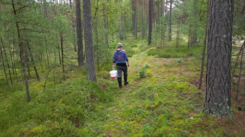 Grzyby 09-2025