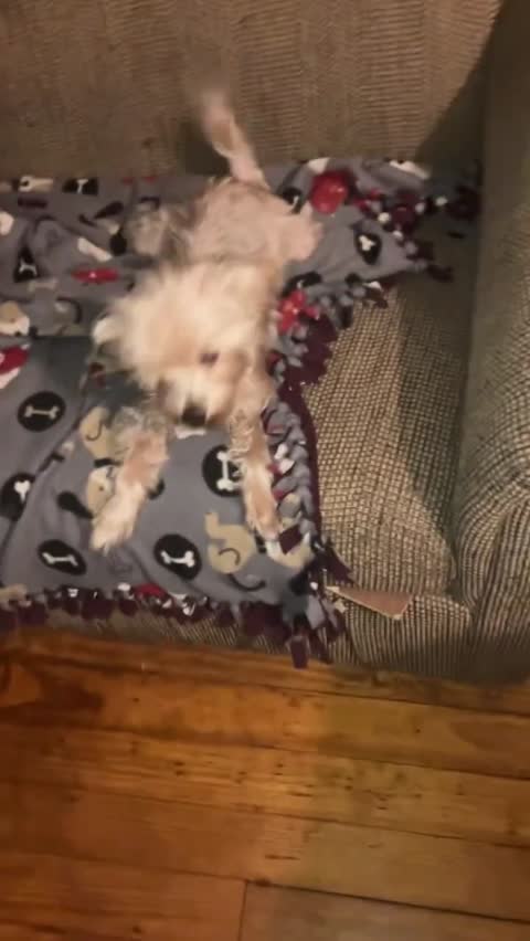 Snow gets her excited_