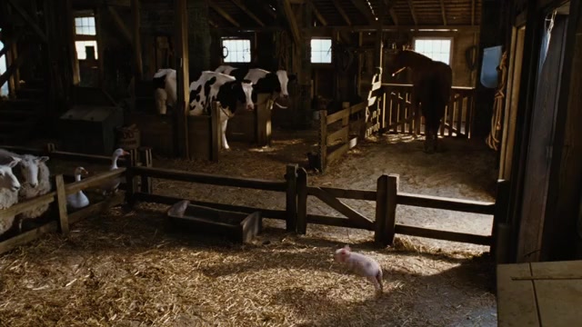 Charlotte's Web (2006) 