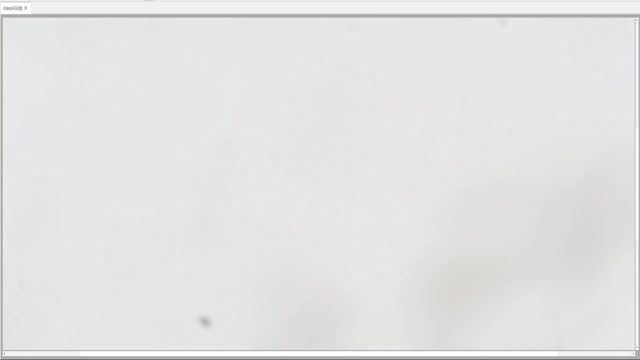 amexyz_after38_5-04-03-2026-400x-MainAs