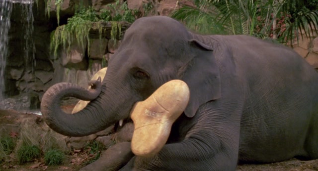George.De.La.Selva.1997.1080P-Dual-Lat