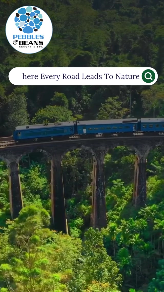 Escape the noise and reconnect with nature at Pebbles & Beans, Sakleshpur
