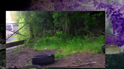 inny niż inni - kieliszek z Bojemskim