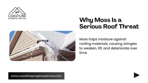 Professional Moss Removal Courtenay for Long-Lasting Roof Protection