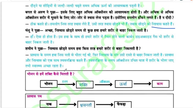 हमारा पर्यावरण