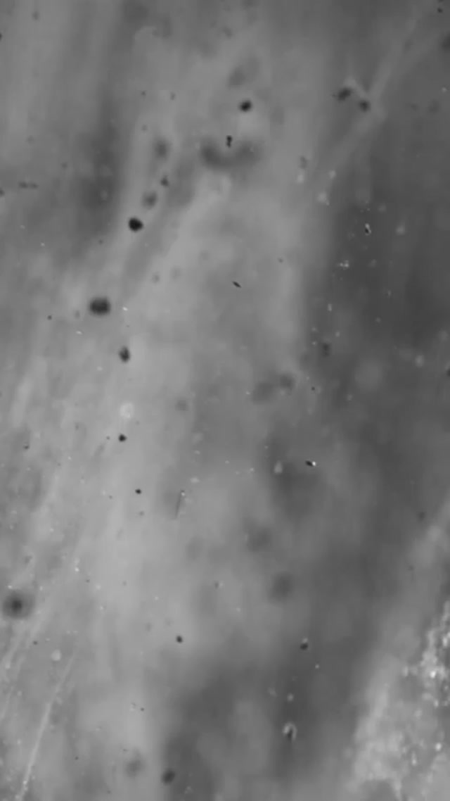 Water Damage Restoration Seattle | Fast & Reliable 24/7 Service