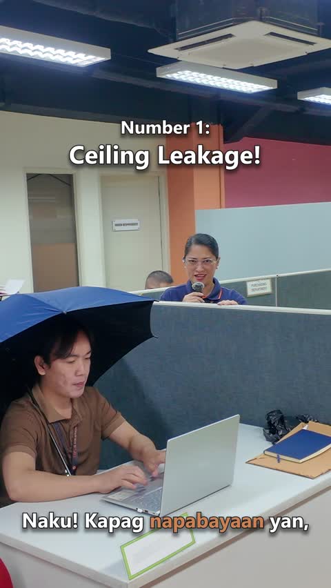 Property Maintenance and Rectification Services