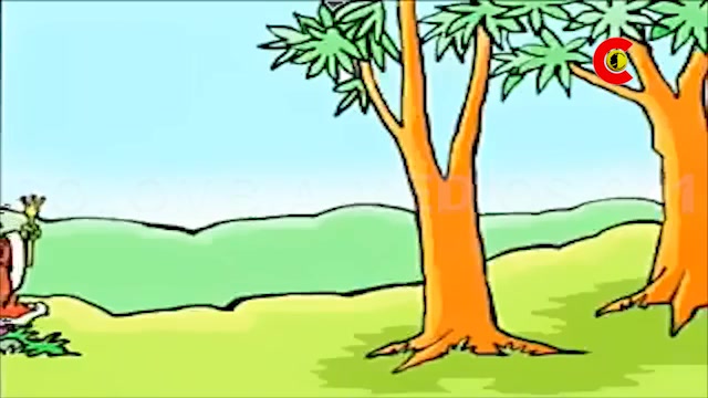 Franja Metro (Años 2000) - La Reina de La Curuba - Canal Capital