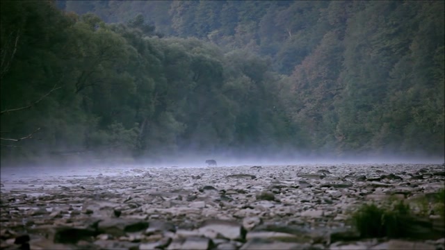 -John Denver - Back Home Again -