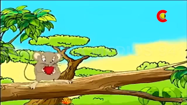 Franja Metro (Años 2000) - La Ley de La Selva - Canal Capital