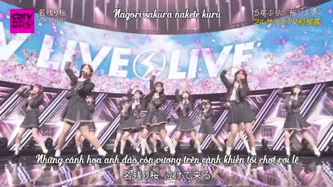 [LIVE] Những cánh hoa anh đào còn vương trên cành