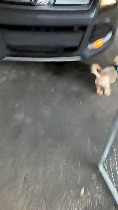 Uncle Bob and aunt Rosie are here