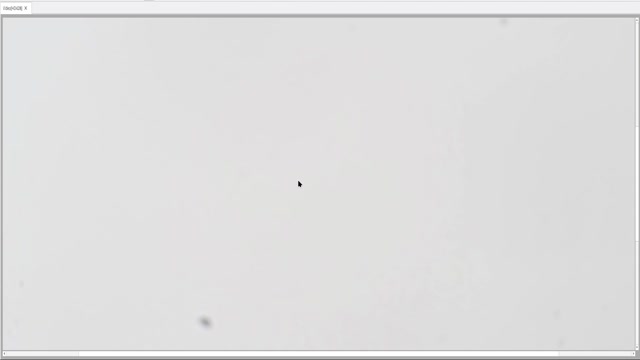 flagellate-bloom-after_77.5h-diversegrasses