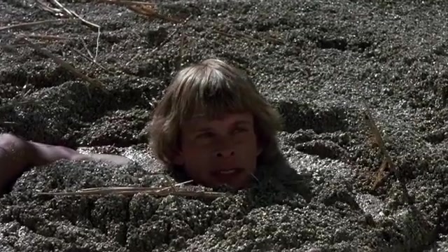 The BeastMaster 1982 Remastered  