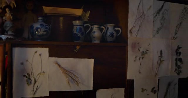 Za Niebieskimi Drzwiami (2016) 