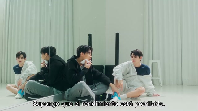 Scammer 12 Español