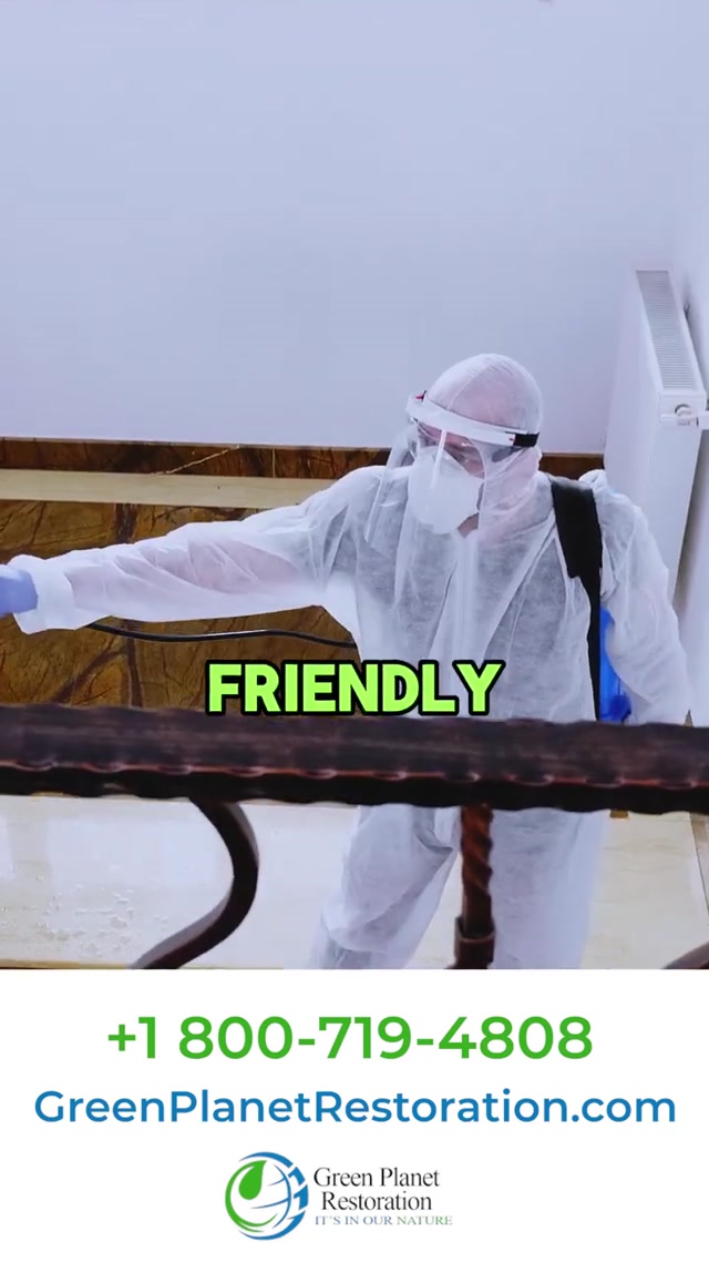 Fire, Smoke, Ash & Soot Damage Cleanup | Green Planet Restoration