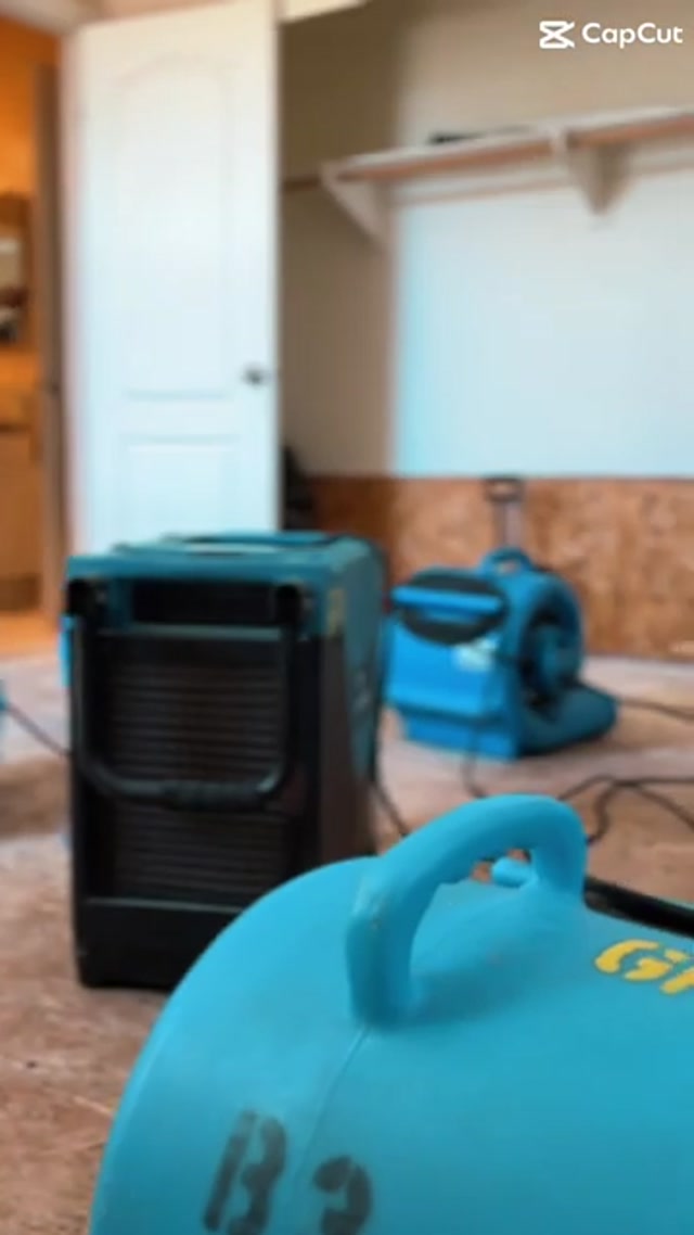 Mold Remediation Seattle WA | Water, Fire & Mold Damage Restoration