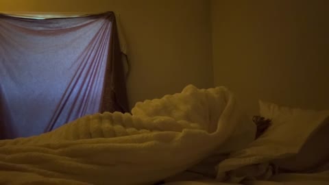 whatupmfs18 (live) 2025-12-29 11_14 [316477702236]