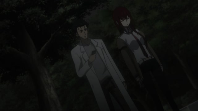 Steins Gate - Cap 8 Español latino 