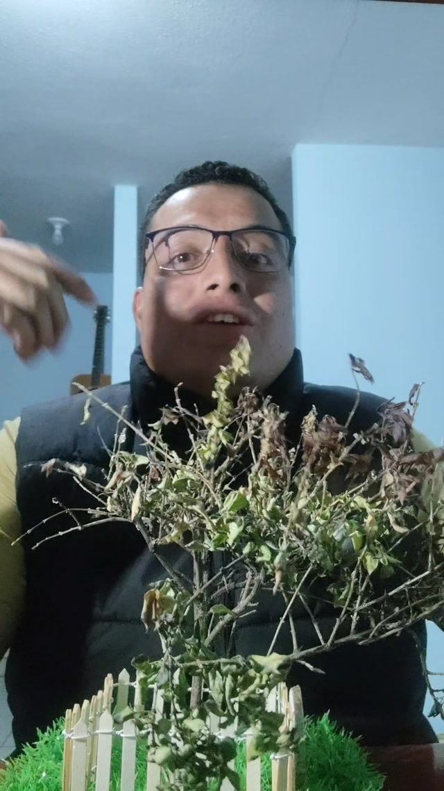 Conectado o marchito?