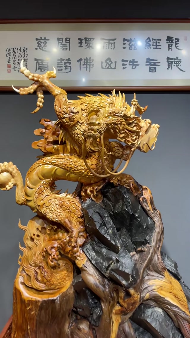 Natural cliff cypress wood embracing a rock, "Flying Dragon in the Sky, Soaring to Success"