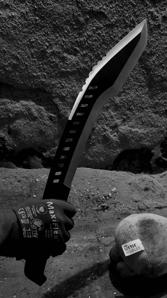 ¡Hola, pequeño hodler!