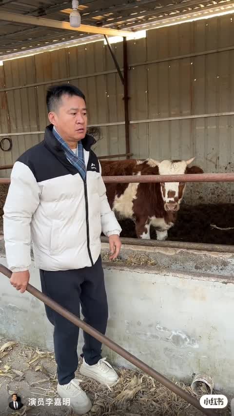 Camera_xhs_1765991425755