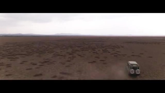 Shadows of Africa Guide - Expert Tips for Safari Adventures