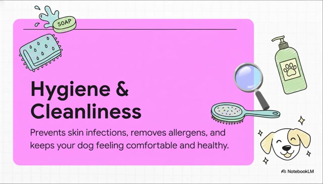 Dog Grooming Auckland  Professional Pet Care