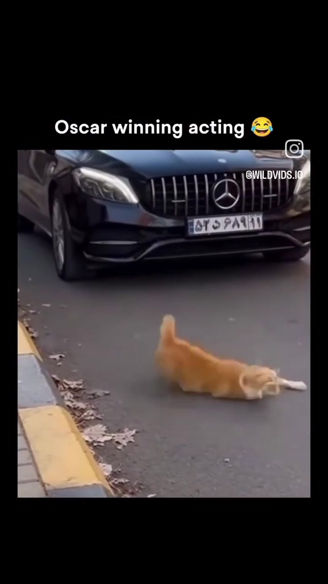 VID_20260106_072222_388